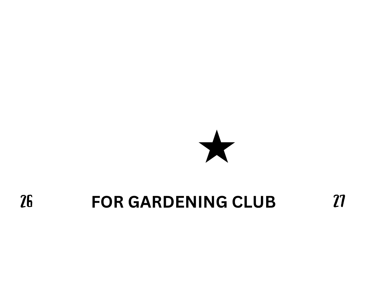 Noah Brambila Campaign Logo Footer